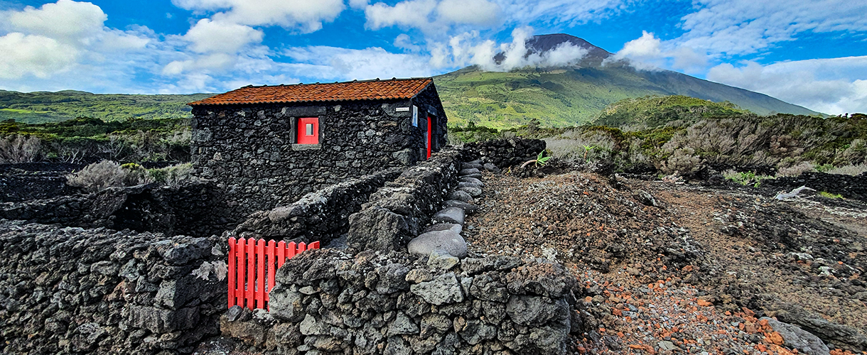 Azory: trekkingi na atlantyckich wyspach Flores, Faial, São Jorge i Pico fot. © Roman Stanek, Barents.pl