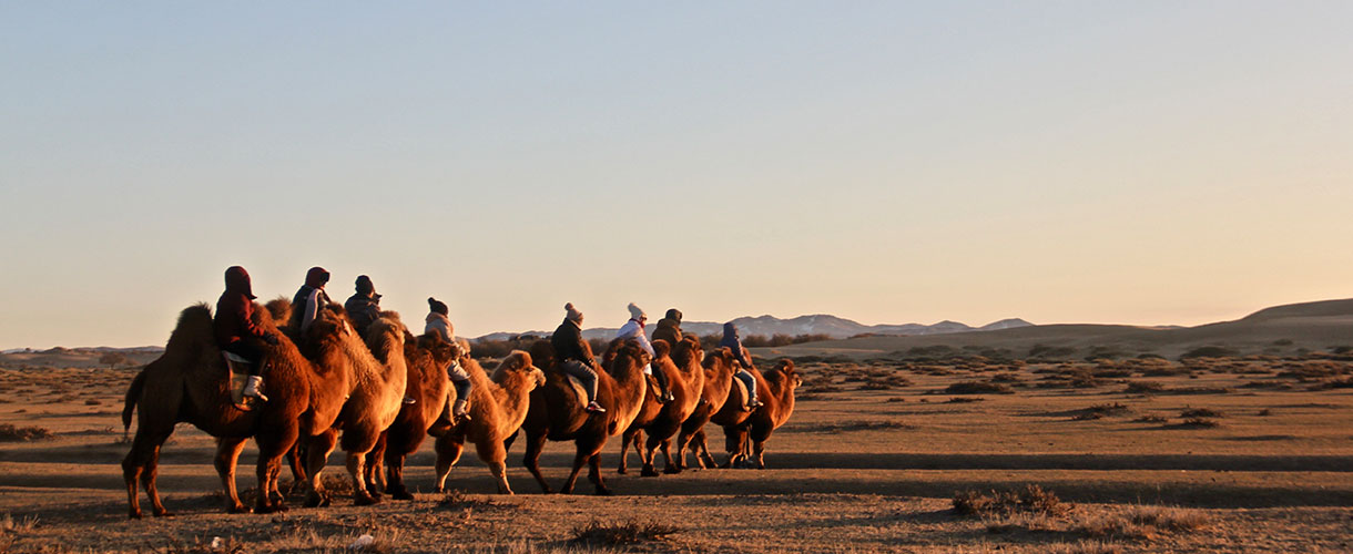 Wyprawa do Mongolii: przez mongolski step i pustynię. Fot. © Lokalni partnerzy Barents.pl