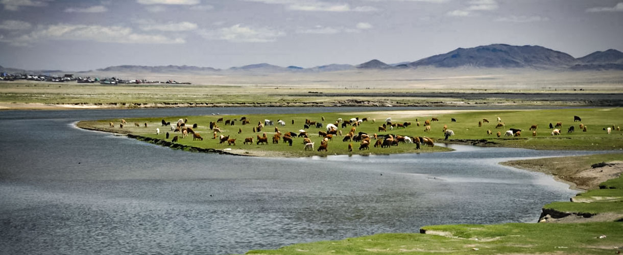 Wyprawa do Mongolii: przez mongolski step i pustynię. Fot. © Zdenek Vacha dla Barents.pl