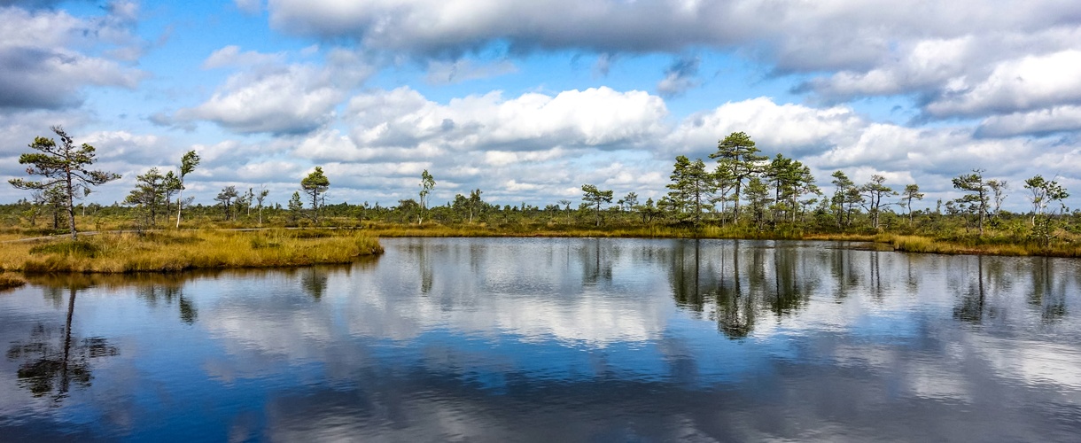 Estonia: aktywna wycieczka objazdowa z Barents.pl