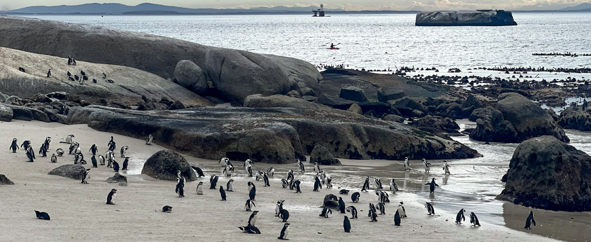Aktywna wycieczka do RPA: Kapsztad, Garden Route i Park Krugera fot. © Roman Stanek, Barents.pl