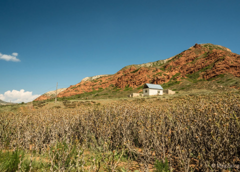 Trekking w Kirgistanie wśród Gór Niebiańskich, sierpień 2016 r. fot. © Magda Załoga, Barents.pl