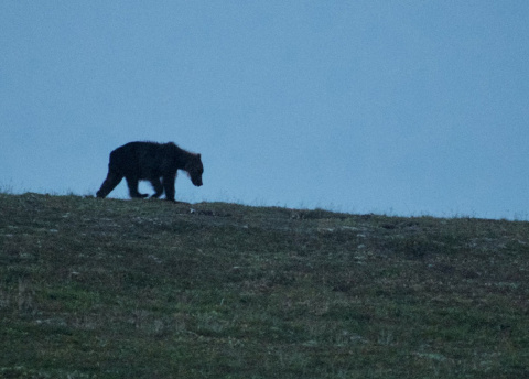 Kamchatka: In the Land of Volcanoes © Roman Stanek, Barents.pl 2017