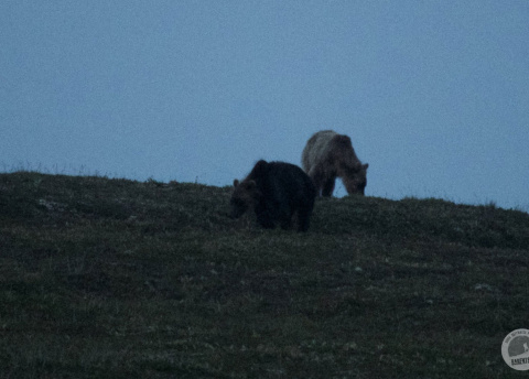 Kamchatka: In the Land of Volcanoes © Roman Stanek, Barents.pl 2017