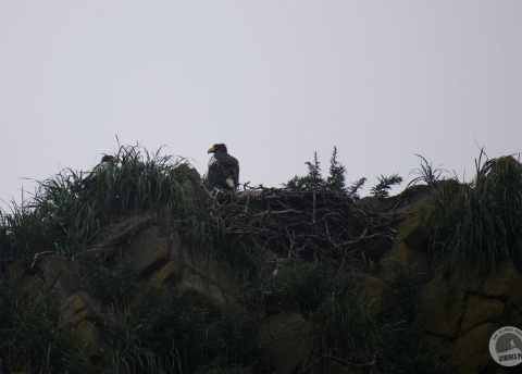 Kamchatka: In the Land of Volcanoes © Roman Stanek, Barents.pl 2017