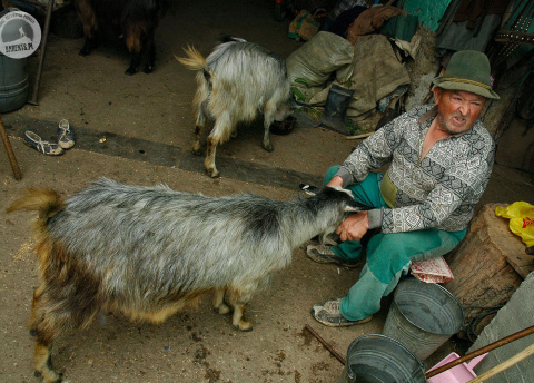 Życie na banackiej wsi. Wycieczka do Banatu w Rumunii. Fot. © Ivo Dokoupil, Barents.pl Życie na banackiej wsi. Wycieczka do Banatu w Rumunii. Fot. © Ivo Dokoupil, Barents.pl