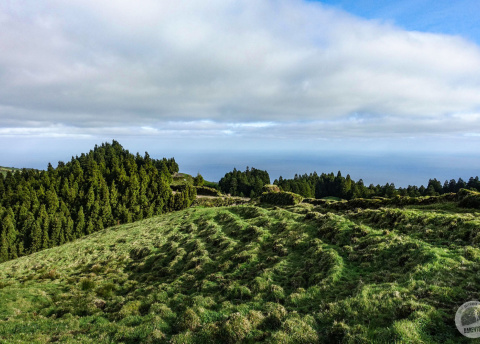 Wycieczka na Azowy. São Miguel - trekkingi w krainie zieleni i wulkanów. fot. © Mateusz Kuszela, Barents.pl