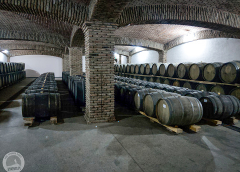 Sylwester w Gruzji: Tbilisi, Kachetia i Kazbek fot. © Dominik Pytel, w Gruzji z Barents.pl