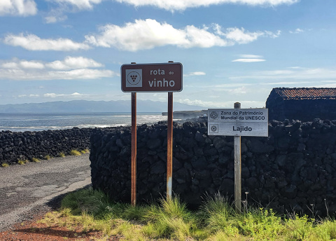 Azory: trekkingi na atlantyckich wyspach Flores, Faial, São Jorge i Pico fot. © Roman Stanek, Barents.pl