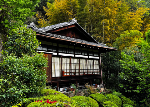 Wycieczka do Japonii: trekkingi i zwiedzanie od Kioto po Tokio fot. © Roman Stanek, Barents.pl