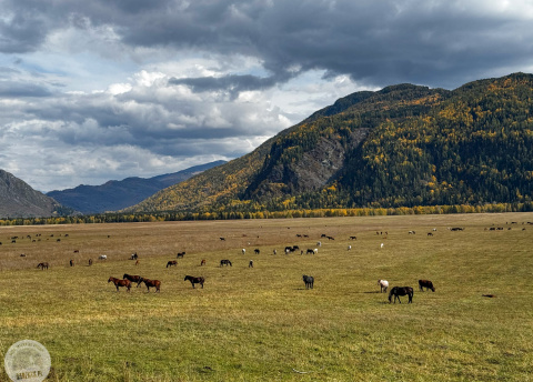 Kazachstan: Trekking w Ałtaju fot. @ Roman Stanek Barents.pl
