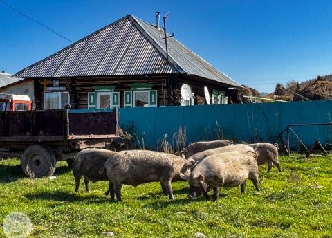 Kazachstan: Trekking w Ałtaju fot. @ Roman Stanek Barents.pl