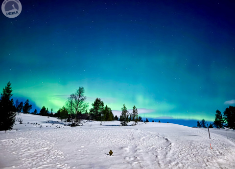 Biegówki w Norwegii: Park Narodowy Rondane fot. © Alek Styrna, pilot Barents.pl