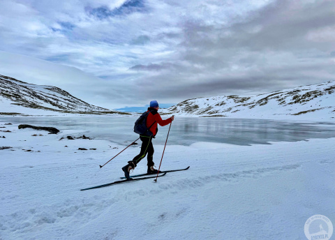 Biegówki w Norwegii: Park Narodowy Rondane fot. © Alek Styrna, pilot Barents.pl