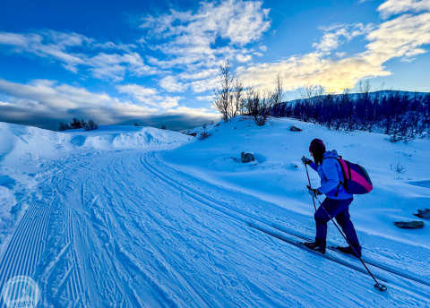 Biegówki w Norwegii: Park Narodowy Rondane fot. © Alek Styrna, pilot Barents.pl