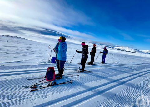 Biegówki w Norwegii: Park Narodowy Rondane fot. © Alek Styrna, pilot Barents.pl