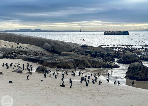 Aktywna wycieczka do RPA: Kapsztad, Garden Route i Park Krugera fot. © Roman Stanek, Barents.pl