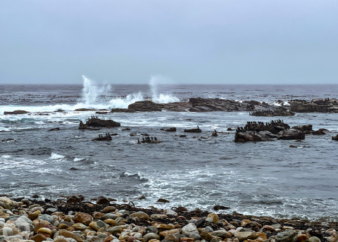 Aktywna wycieczka do RPA: Kapsztad, Garden Route i Park Krugera fot. © Roman Stanek, Barents.pl