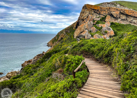 Aktywna wycieczka do RPA: Kapsztad, Garden Route i Park Krugera fot. © Roman Stanek, Barents.pl