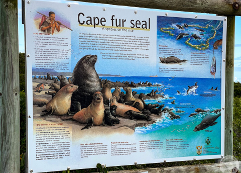 Aktywna wycieczka do RPA: Kapsztad, Garden Route i Park Krugera fot. © Roman Stanek, Barents.pl