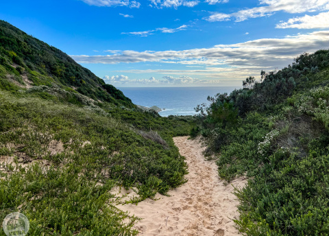 Aktywna wycieczka do RPA: Kapsztad, Garden Route i Park Krugera fot. © Roman Stanek, Barents.pl