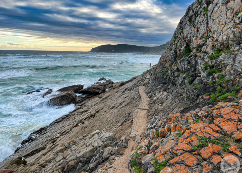 Aktywna wycieczka do RPA: Kapsztad, Garden Route i Park Krugera fot. © Roman Stanek, Barents.pl