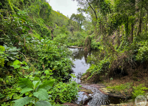 Aktywna wycieczka do RPA: Kapsztad, Garden Route i Park Krugera fot. © Roman Stanek, Barents.pl