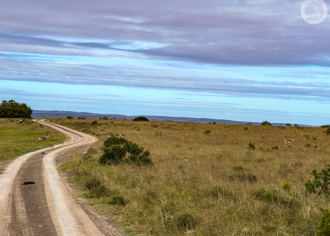 Aktywna wycieczka do RPA: Kapsztad, Garden Route i Park Krugera fot. © Roman Stanek, Barents.pl
