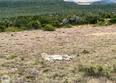 Aktywna wycieczka do RPA: Kapsztad, Garden Route i Park Krugera fot. © Roman Stanek, Barents.pl