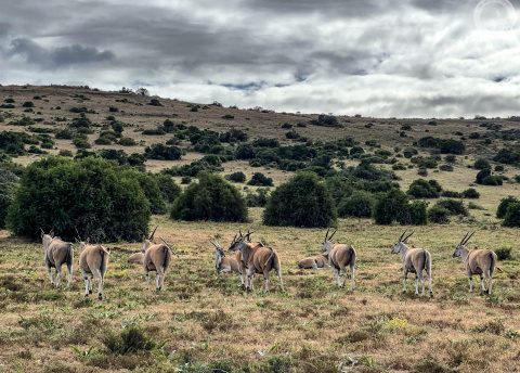 Aktywna wycieczka do RPA: Kapsztad, Garden Route i Park Krugera fot. © Roman Stanek, Barents.pl