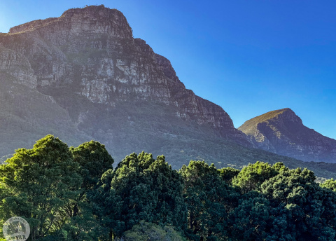 Aktywna wycieczka do RPA: Kapsztad, Garden Route i Park Krugera fot. © Roman Stanek, Barents.pl