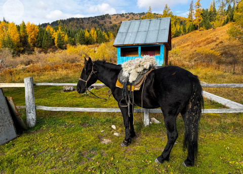 Kazachstan: Trekking w Ałtaju fot. @ Roman Stanek Barents.pl