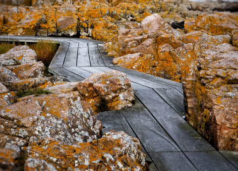 Rowerowa wycieczka na Bornholm – przez duńskie plaże, klify i bałtyckie krajobrazy, fot. © Adrian Gołębiewski , Barents.pl