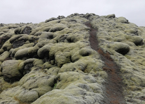 Trekking w Islandii: w krainie lawy i lodu fot. © Aleksandra Matusz, Barents.pl