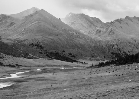 Trekking w Kirgistanie wśród Gór Niebiańskich, sierpień 2016 r. fot. © Magda Załoga, Barents.pl