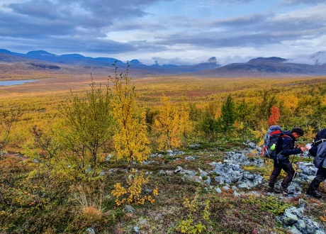 Finlandia: trekking przez jesienną tundrę Laponii fot. © Mateusz Kuszela, Barents.pl