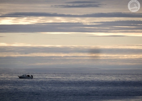 Spitsbergen: BIAŁE, zimna wyspa Spitsbergen. Śladami książki z autorką Iloną Wiśniewską © fot. Jerzy Lech Pilecki z Barents.pl