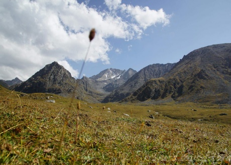Trekking w Kirgistanie, Tien Szan fot. © Krzysztof Bogusz z Barents.pl