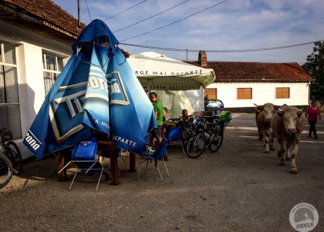 Pub w Gerniku (Gârnic). Banat na rowerze: góry i życie na rumuńskich peryferiach fot. @ Małgosia Busz, Barents.pl
