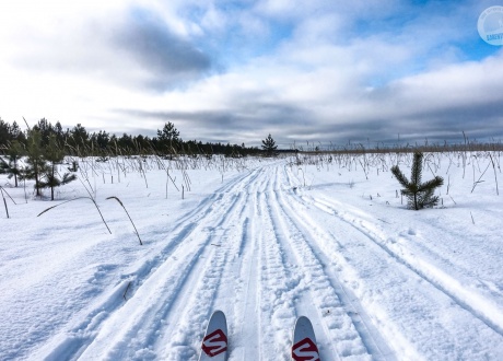 Wycieczka Karelia: Wyprawa na biegówkach po nieznanej Rosji fot. © Mateusz Kuszela, Barents.pl 2020