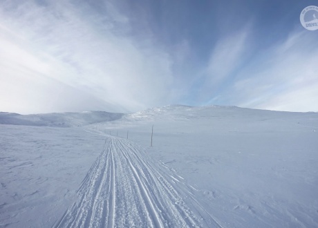 Laponia: na biegówkach w krainie Saamów w 2018 fot. © Mateusz Kuszela, Barents.pl