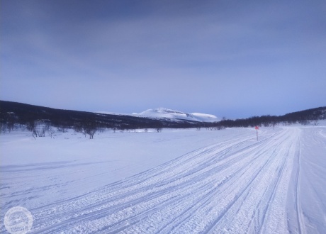Szwecja: na biegówkach w Dolinie Ljungdalen, edycja 2021. Fot. © Mateusz Kuszela, Barents.pl
