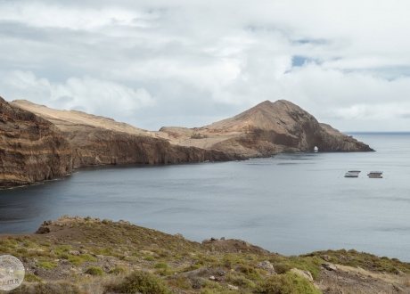 Wycieczka na Maderę: spacery lewadami i zwiedzanie wyspy wiecznej wiosny! fot. © Magda Załoga, na Maderze z Barents.pl