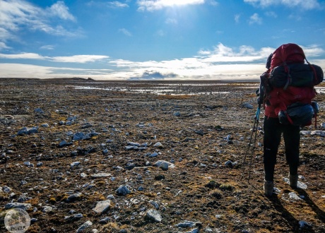 Fotorelacja z sierpniowego trekkingu arktyczna tundrą 2018 fot. © Dominik Pytel z Barents.pl