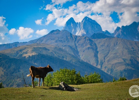 Georgia: Trekking the forgotten valleys of Caucasus © Roman Stanek, Barents.pl