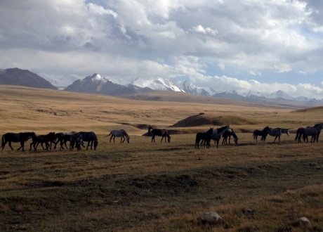 Rowerem przez Tien Szan - Góry Niebiańskie w Kirgistanie fot. © Barents.pl