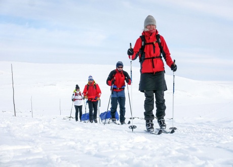 Lapland: cross-country skiing in the Saami land with Barents.pl