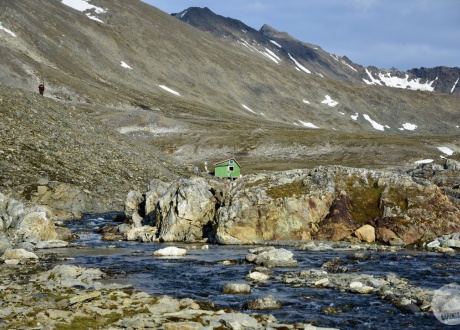 Baranówka. Fot. © Aga Zwaan na Spitsbergenie z Barents.pl