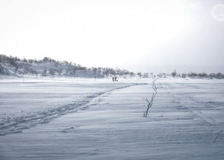 Arktyczne rejony północy Finlandii fot. © Mateusz Kuszela, Barents.pl