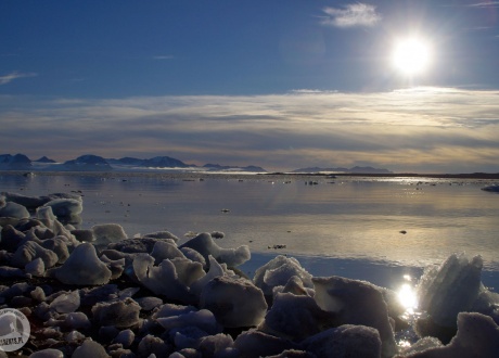 Zatoka przy lodowcu Aavatsmarkbreen. Fot. © Małgosia Busz, Barents.pl